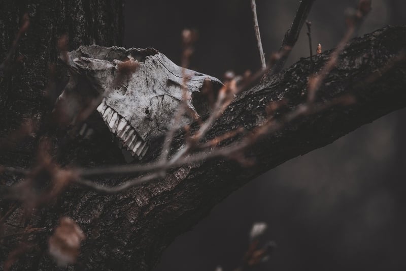 Ghostly Encounters